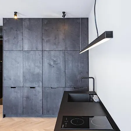 Odra View Iv Apartment *